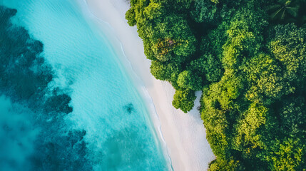 Stunning Aerial View of a Tropical Island Resort Surrounded by Turquoise Ocean Waters
