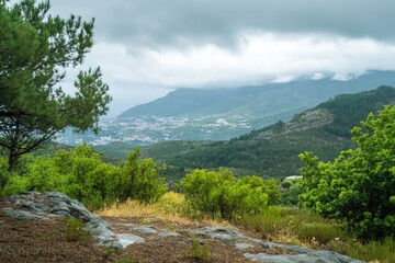 Misty mountain vista, lush greenery, and rocky outcrop