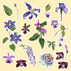 Set of violet garden and tropical flowers elements. Set of stickers, pins, patches and handwritten notes collection stikers kit.