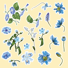 Set of blue spring flowers elements. Set of stickers, pins, patches and handwritten notes collection stikers kit.