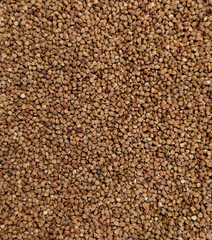A high-resolution close-up of raw buckwheat grains, showcasing their natural texture, earthy brown tones, and organic quality