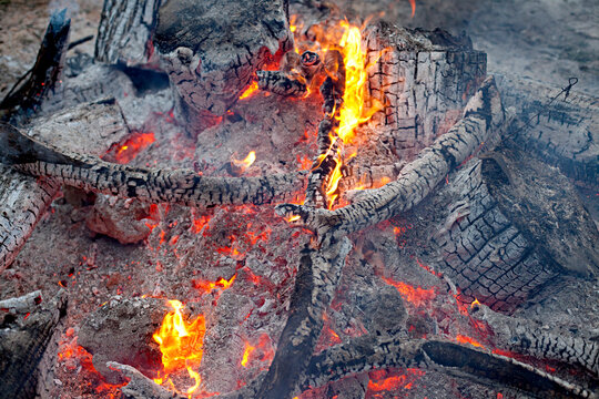 Close up of burning camp fire outdoors