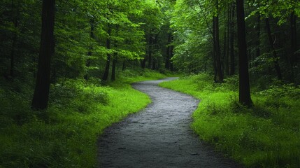 Fototapeta premium Winding Path Through Lush Green Forest - Serene winding path through a vibrant green forest, perfect for nature lovers and peaceful imagery
