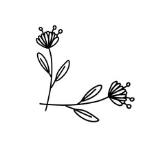 floral branch corners borders