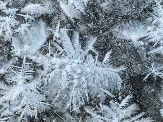 This closeup image shows captivating ice crystals on a rugged rock, showcasing winters beauty and...