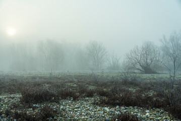 foggy landscape alon the Ticino river during a winter morning, Pavia