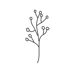 Floral branch and minimalist leaves