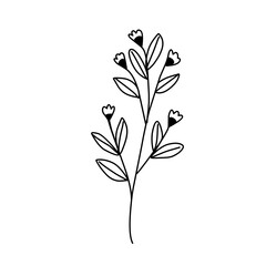 Floral branch and minimalist leaves