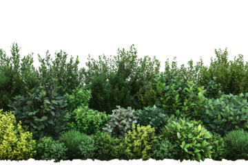 Natural green trees and bushes isolated on transparent background