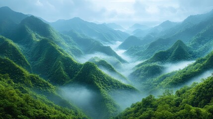 Obraz premium Misty mountain range, lush green forests, tranquil landscape, panoramic view, nature background