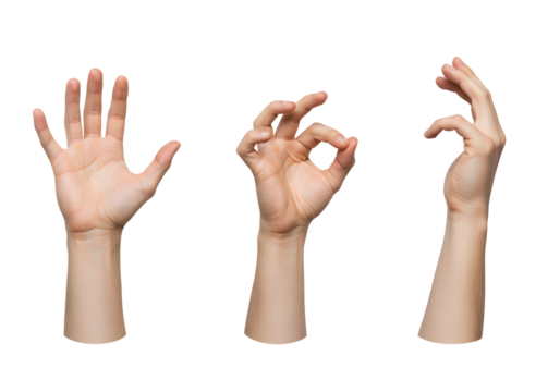 Hands Displaying Different Gestures Communication and Sign Language Concept Isolated
