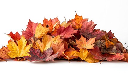 Pile of colorful autumn leaves on white background.