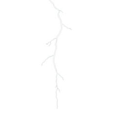 Delicate branch with minimal leaves, soft lighting illuminating subtle textures, ideal for nature-themed projects. Isolated on white background or PNG