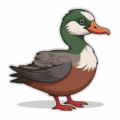 A Charming Bufflehead Duck Portrait, Showcasing Its Vibrant Green Head And Rich Brown Body Against A Clean White Background