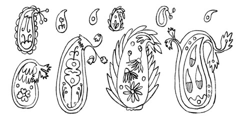 Paisley charcoal drawn set. Indian traditional ornament doodle isolated on white background. Modern grunge simple decoration chalk elements. Vector floral persian textile print by pencil illustration.