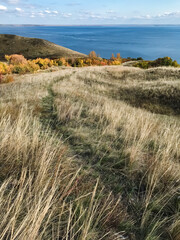 Imagine a vast field of tall, lush grass swaying gently in the breeze, with a winding path that...