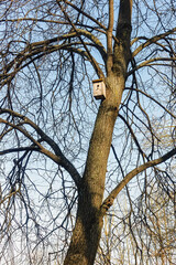 A new wooden birdhouse on a tree in early spring
