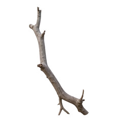 Obraz premium Natural wooden branch, rustic texture with natural curves, ideal for crafting or decoration, showcases organic beauty. Isolated on white background or PNG