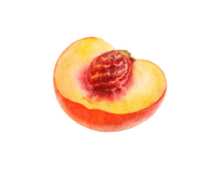 Hand-Painted Watercolor Half Nectarine Peach with Pit Botanical Illustration Isolated on White
