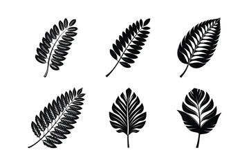world famous decorative leaves vector illustration