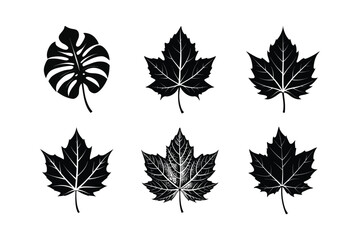 world famous decorative leaves vector illustration