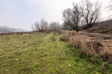 Obraz premium foggy landscape alon the Ticino river during a winter morning, Pavia
