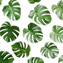 A pattern of green leaves is spread across a white background