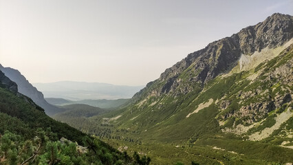 Naklejka premium Mengusovska valley dominating the landscape in the high tatras, slovakia