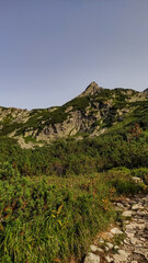 Hiking trail leading to rysy mountain in the high tatras, slovakia