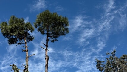 Cloudy sky background