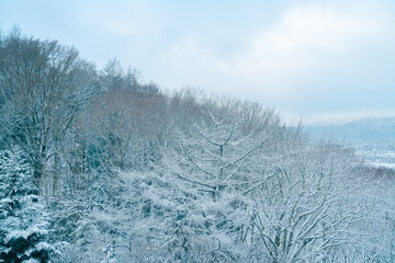 明神山パノラマ台から見る富士山と山中湖