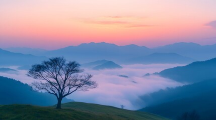 Obraz premium Breathtaking sea of clouds floats between mountains at dawn, with lone bare tree silhouetted against pastel sky, green meadow in foreground, and small tent in misty, minimalist landscape.