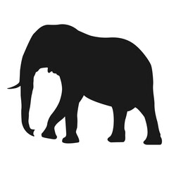 elephant silhouette.