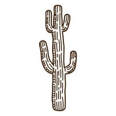 Obraz premium Cactus Illustration: A stylized line drawing of a towering cactus, a symbol of resilience in arid landscapes, its form defined by bold outlines and a sense of enduring strength.
