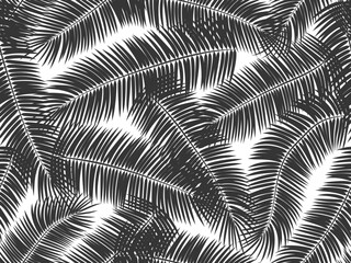 Vector seamless summer black palm leaves on white background.