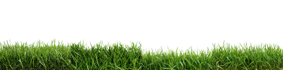 Lush verdant green grass field stretching out under a bright clear blue sky with a tranquil serene atmosphere