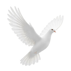 Obraz premium White dove in flight, symbolic animal representing peace and freedom, softly illuminated against a smooth background, ideal for uplifting themes. Isolated on white background or PNG