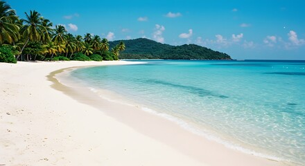 Fototapeta premium Tropical Beach Paradise with White Sand, Turquoise Water and Palm Trees - Caribbean Vacation