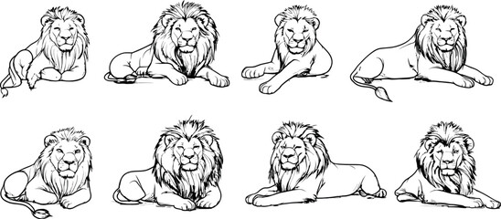 Various Poses and Expressions of Lions Depicted in Isolated Vector Illustrations