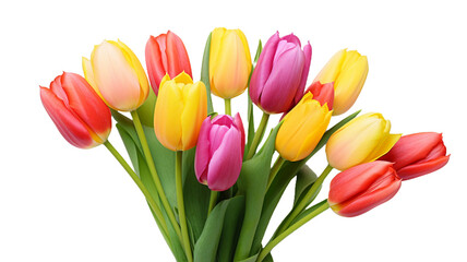 Obraz premium PNG Colorful tulips on white background or transparent png background.
