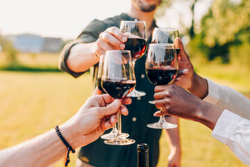 Group of friends raising glasses of red wine in a celebratory toast during an outdoor gathering in...