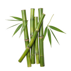 Fototapeta premium Fresh green bamboo stalks, vibrant natural foliage, ideal for themes of tranquility and sustainability, perfect for designs. Isolated on white background or PNG