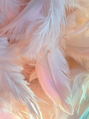 Fototapeta premium Close-up of a group of white feathers. the feathers are arranged in a scattered manner, with some overlapping each other.