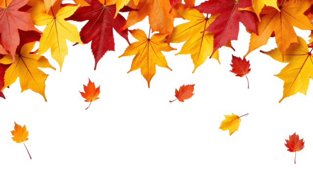 Vibrant Autumn Leaves Isolated on Transparent Background for Seasonal Decor and Nature-Themed Projects