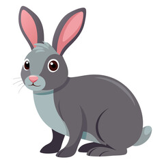 white rabbit isolated on white
