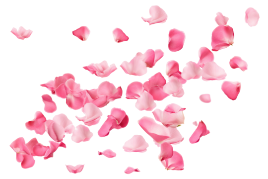red rose flowers petals on transparent background - Powered by Adobe