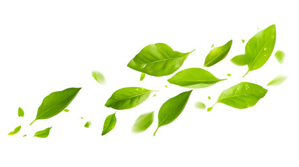 Naklejka premium Green Floating Leaves Flying Leaves Green Leaf Dancing on white background. AI Generated Images