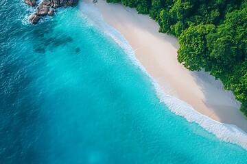 Aerial view of pristine tropical beach.