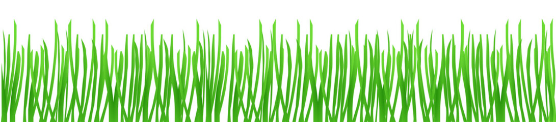 Gr&uuml;ne Gr&auml;ser freigestellt