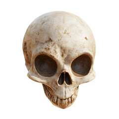 Naklejka premium Mysterious Alien Skull Fossil Found in Remarkable Archaeological Discovery